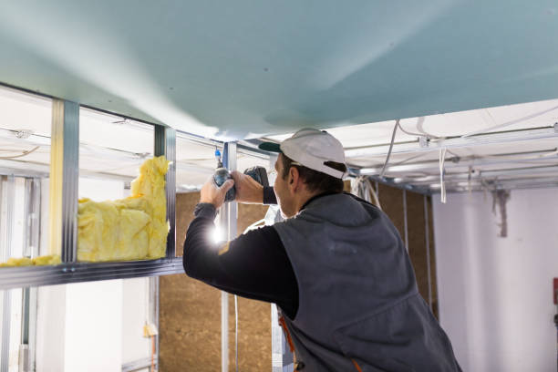 Best Insulation for Specific Applications in Francisville, KY